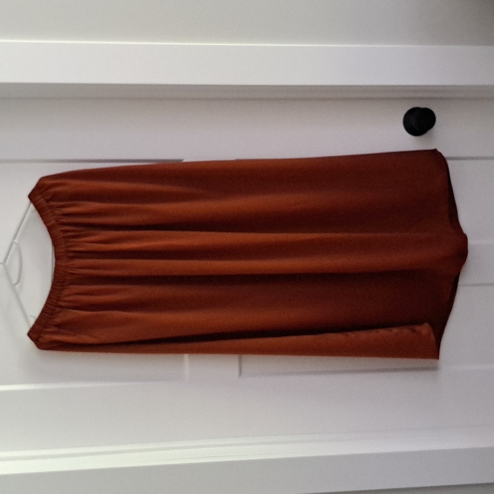 NWT Pleated Flare Skirt (Burnt Brick) - Lattelier - Picture 6 of 11